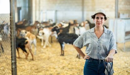 Confident positive latin-american female farmer, engaged in breeding goats, posing in goat shed ..