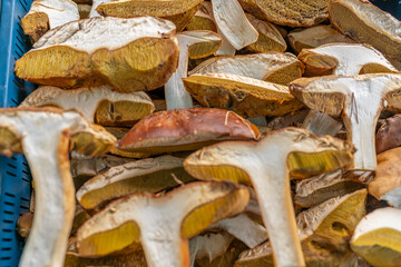 colorful summer and winter fruits strawberries blackberries and large and small mushroom varieties