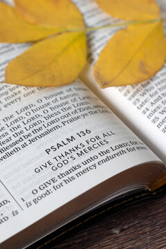 Psalm 136 for giving thanks to God Jesus Christ about His mercy and grace in open holy bible book with autumn leaf. Close-up Christian biblical concept.