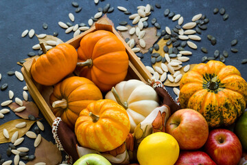 Colorful,mini ornamental pumpkins in wooden case designed with autumn leaves and pumpkin seeds