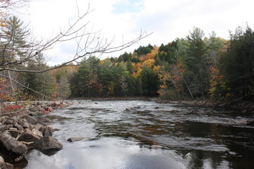 River through autumn forest