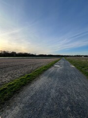 Fototapeta premium road in the field