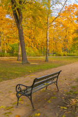 Poland capital city Warsaw Royal Lazienki Park trees decorated with autumn colors and leaves and flowers with detail shots