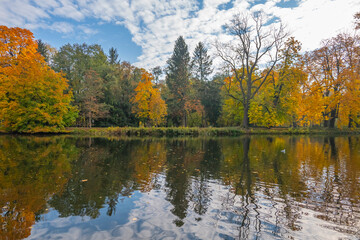 Poland capital city Warsaw Royal Lazienki Park trees decorated with autumn colors and leaves and flowers with detail shots