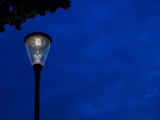 A street light is lit up in the dark. The light is on a pole and is surrounded by trees. The light is yellow and the trees are green. The scene is peaceful and calm