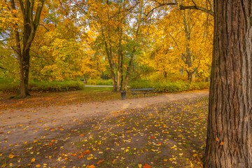 Naklejka premium Poland capital city Warsaw Royal Lazienki Park trees decorated with autumn colors and leaves and flowers with detail shots