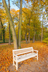 Poland capital city Warsaw Royal Lazienki Park trees decorated with autumn colors and leaves and flowers with detail shots