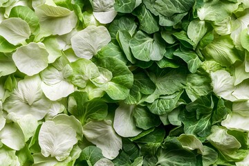 Light vegetable textures background, seamless, tiled