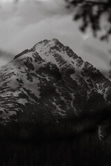 Obraz premium mountain in the fog