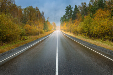 A road with a lot of trees and a lot of rain
