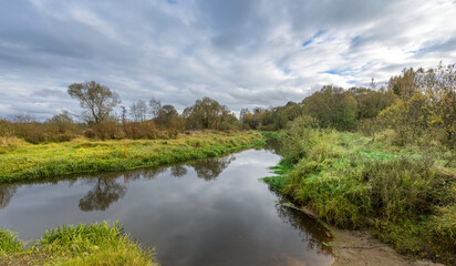 A river with trees on either side