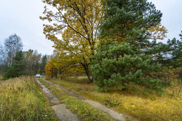 Obraz premium A road with a car driving down it