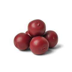 Cranberries illustration made of sculpting clay over white background.