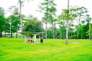 Obraz premium Georgia state welcome center and highway rest area landscape 