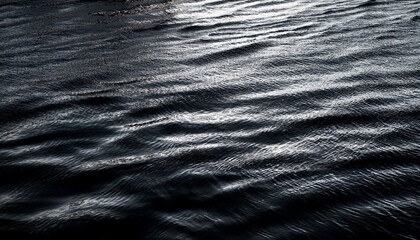 黒背景に浮かぶ水面の微細な波紋が動きを感じさせるデザイン