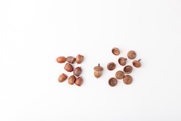 collection of raw acorns and its caps, oak nuts on white background, top view, DIY