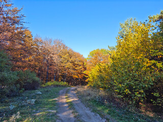 Fototapeta premium Autumn view of Plana Mountain, Bulgaria