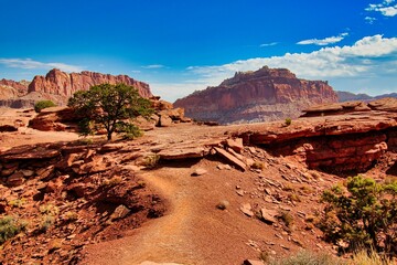 Following the Trail in Capitol Reef National Park in Utah.