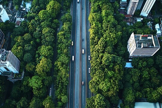 Aerial view of a highway cutting through a dense, green forest, demonstrating the intersection of urban development and nature preservation