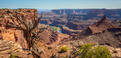 Desert viewpoint, Moab, Utah, USA