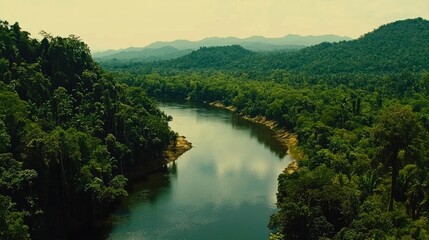 Fototapeta premium Serene River Flowing Through Lush Tropical Forest