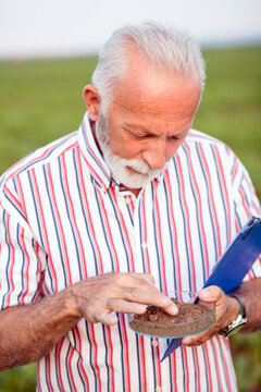 Gray haired senior agronomist or farmer taking and examining soil samples in a soy field. Holding a clipboard under his arm