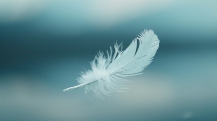 Obraz premium White feather floating in the air.