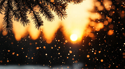 A warm sunset shines through the branches of a pine tree, creating a magical winter scene.