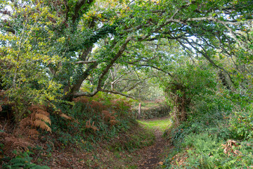 Joli paysage du Trégor le long du Léguer en Bretagne