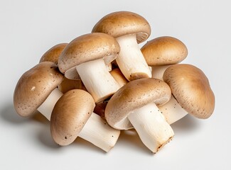 A beige mushroom is elegantly placed on a black plate against a soft, flowing backdrop, creating a tranquil atmosphere