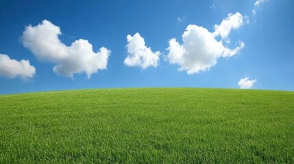 Obraz premium Lush Green Field Under Bright Blue Sky with Clouds