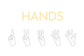 手　カウント　数字　右手　ハンドサイン　手のひら　ベクター