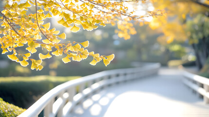 Golden ginkgo leaves grace the serene pathways of a japanese garden in autumn's embrace