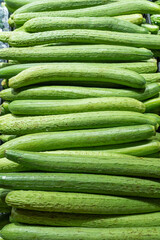 Fresh green sponge gourd or luffa in the market.
