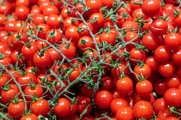 delicious ripe red cherry tomatoes background.