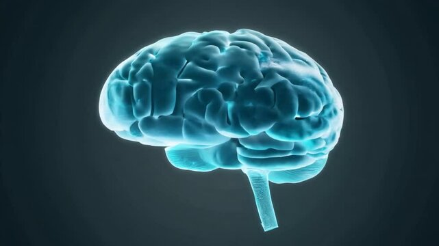 The Human Brain: A mesmerizing 3D rendering of the human brain, illuminated in a vibrant blue hue against a dark backdrop, highlighting its intricate structure and complexity.
