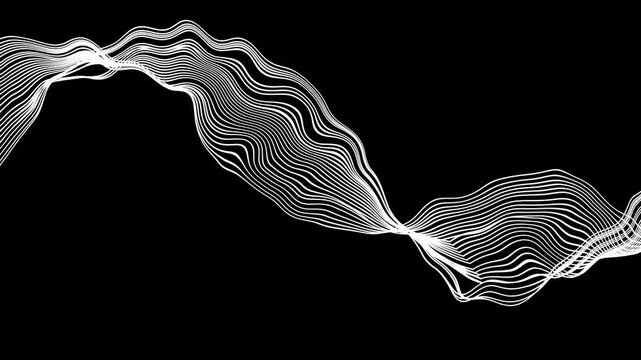 partical background animation on black background. Rainbow colorful swirl line movement, abstract lines looped background