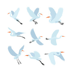 Set of egret flying collection, flying great blue heron in various poses, White crane drawing, japanese stork flight, cranes birds symbols isolated, oriental asian egret, vector illustration.