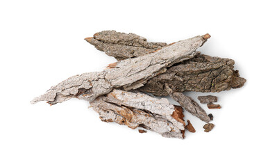 Heap of tree bark pieces isolated on white, top view