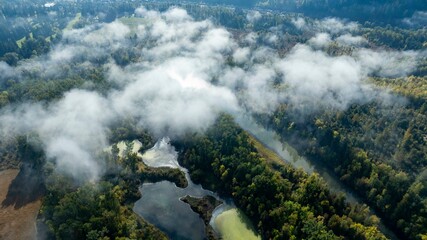 Foggy River swamp