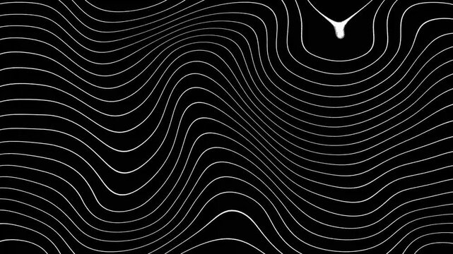 Animated Abstract white color horizontal wavy lines moving on black background, abstract fractal digital lines background. Loop lines background for text or montage