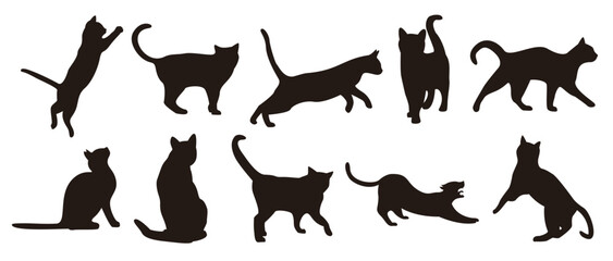 Set of Cat Silhouette Illustration