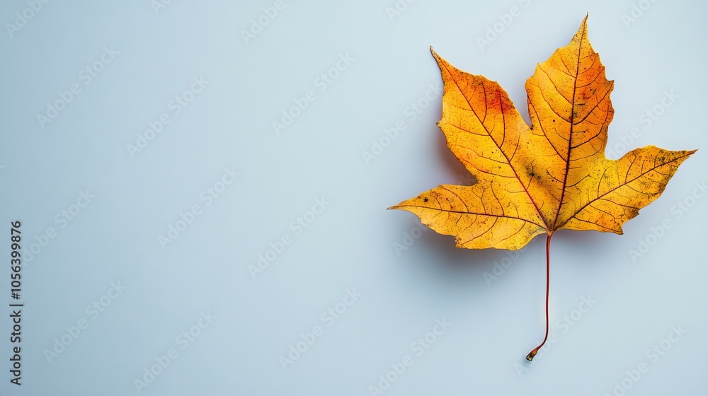 Poster autumn leaf on a plain background with ample space for text.