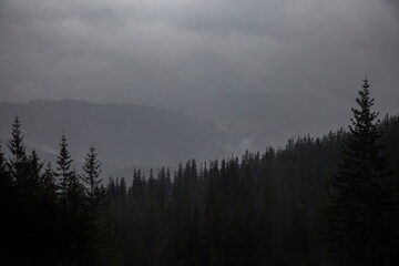 Dark and brooding landscape with a distant, foggy horizon. A misty, moody landscape with a dense forest shrouded in fog.