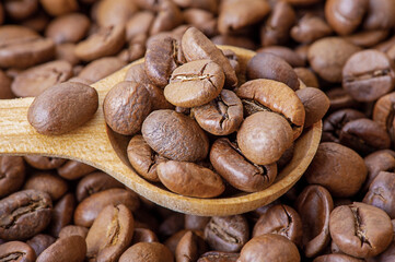 Roasted coffee beans in a wooden spoon on a coffee background.