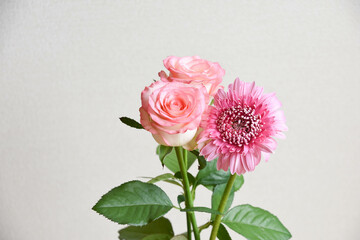 ガーベラとばら