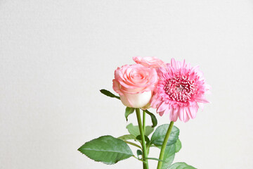 薔薇とガーベラ