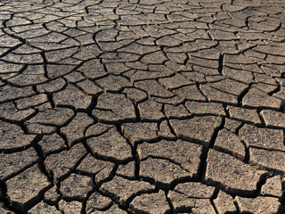 Soil cracks pattern for nature background.