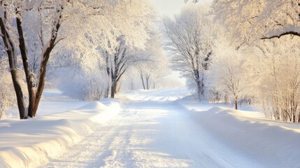 Obraz premium Bright Winter Scenes with High Contrast and Frosty Landscape