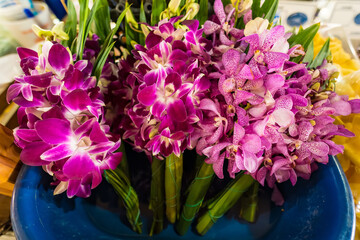 Fresh Orchid Blossoms for Sale - Beautifully Arranged Purple and Pink Orchids in a Market Display